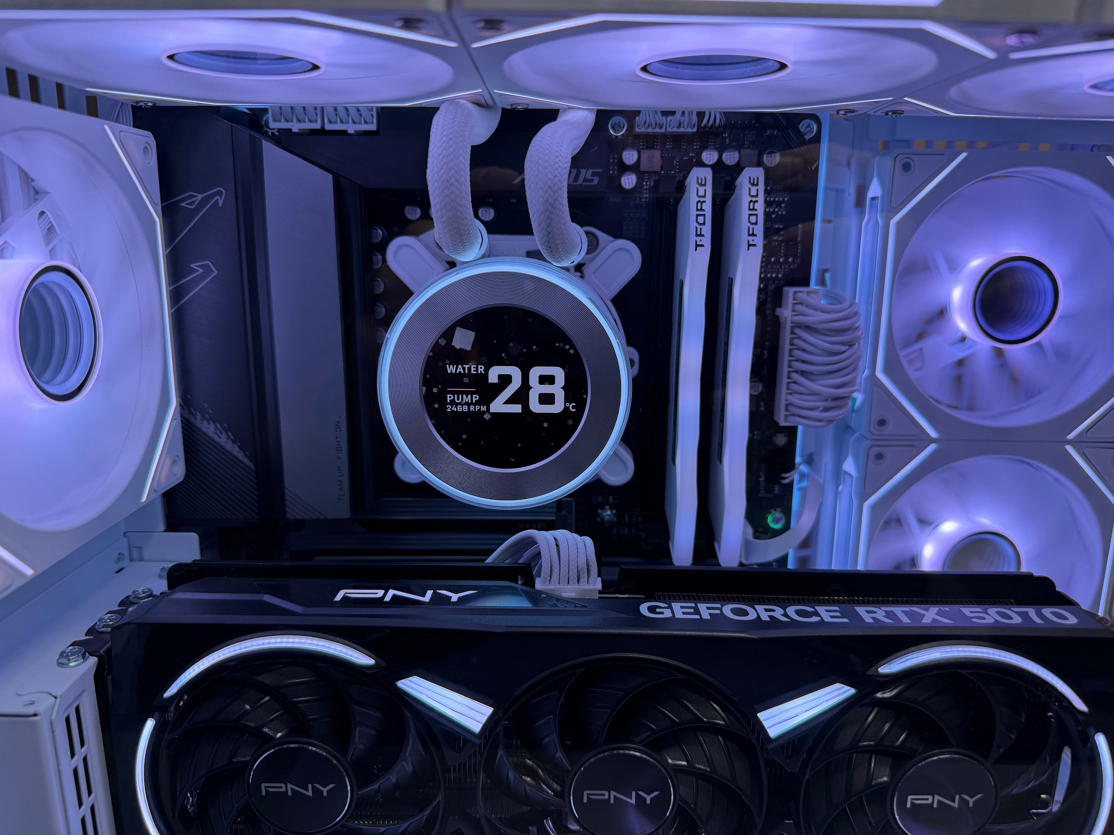 Platinum Vertex ZR